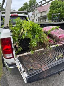 Community volunteers planting garden beds in the rain at Johnson Elementary School in Vermont