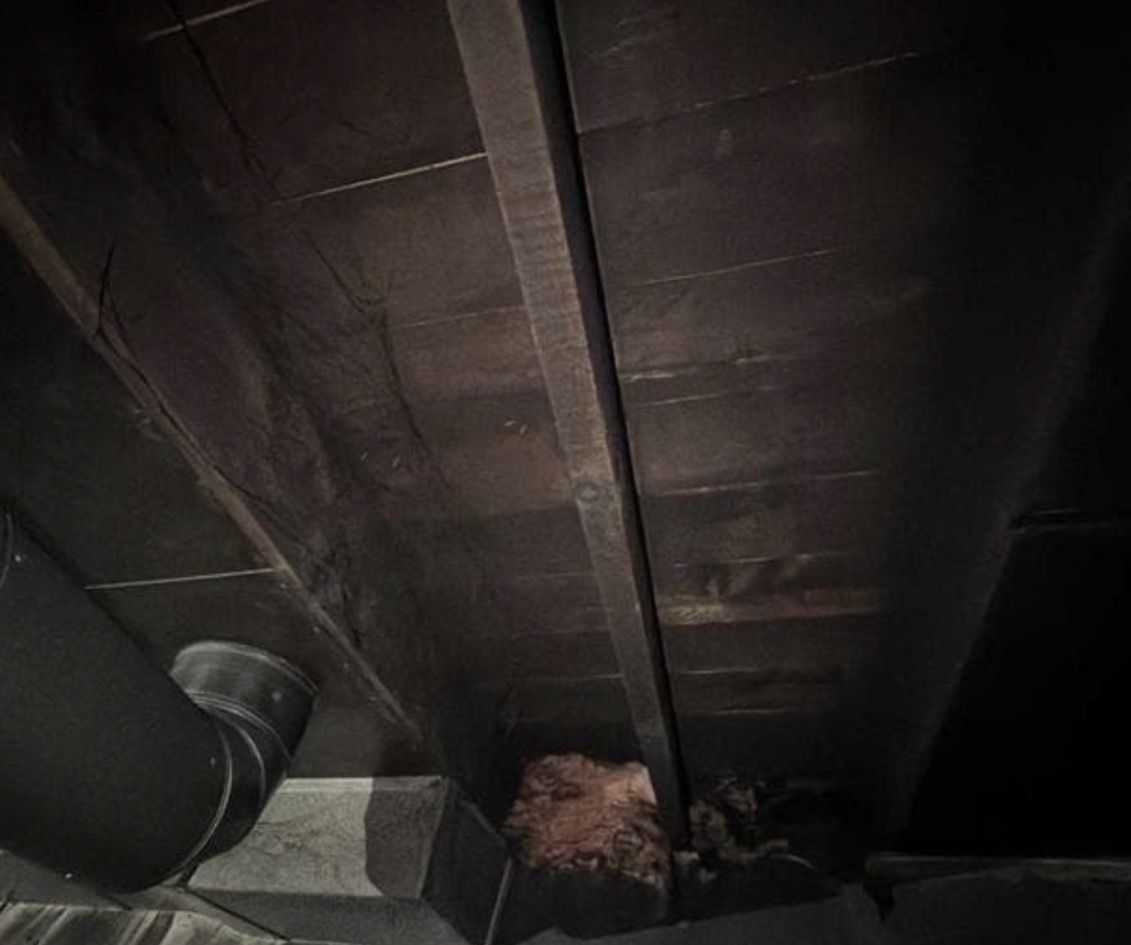 Fire Damage Sandblasting – Bristol, Vermont Before and after fire damage restoration in Bristol Vermont showing sandblasted wood floor joists and concrete basement walls