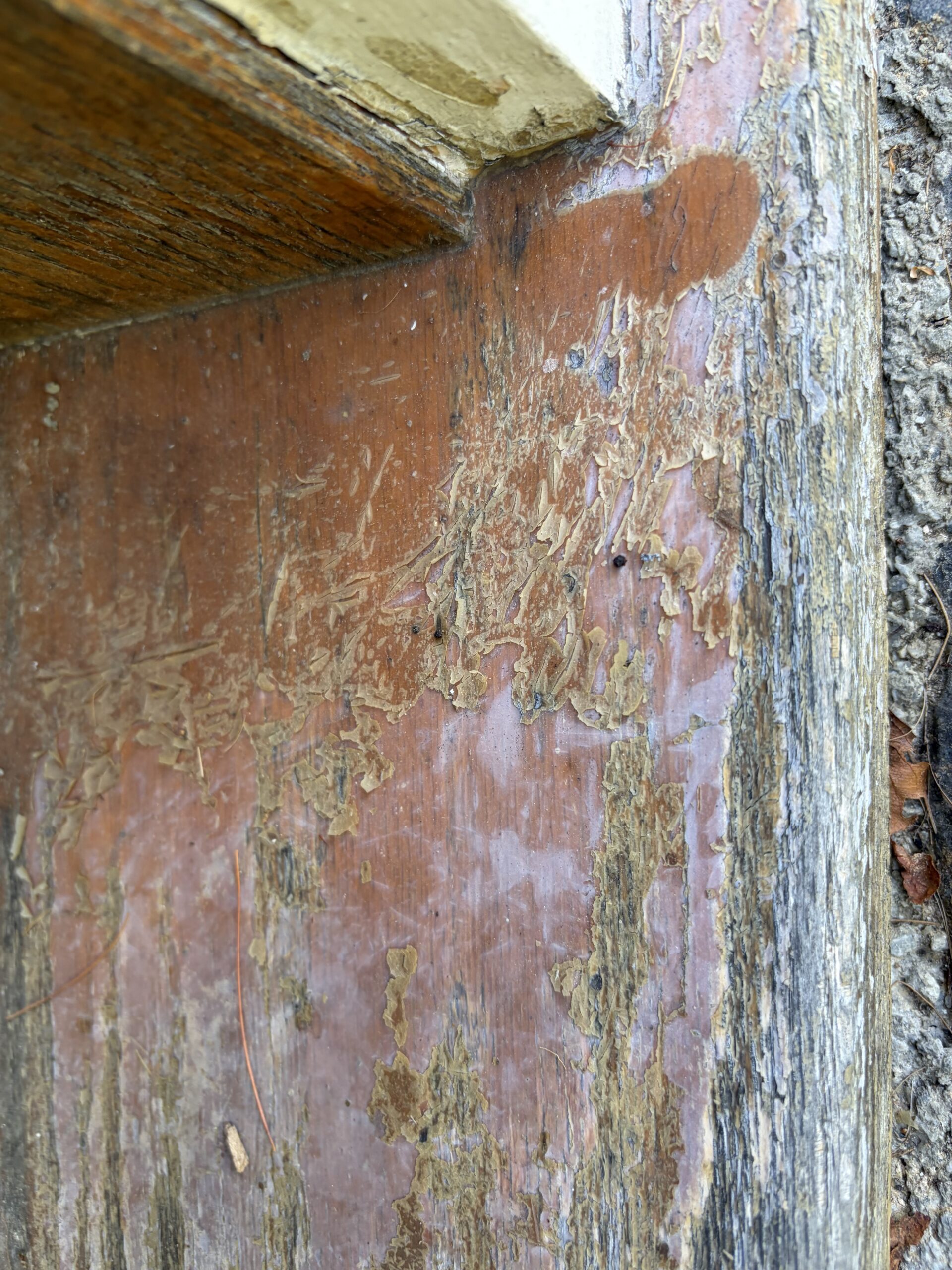 Front Door & Entryway Wood Restoration – Rutland, Vermont Before and after restoration of a weathered wood front door entryway in Rutland Vermont, sandblasted back to fresh wood and finished with a light golden sealer